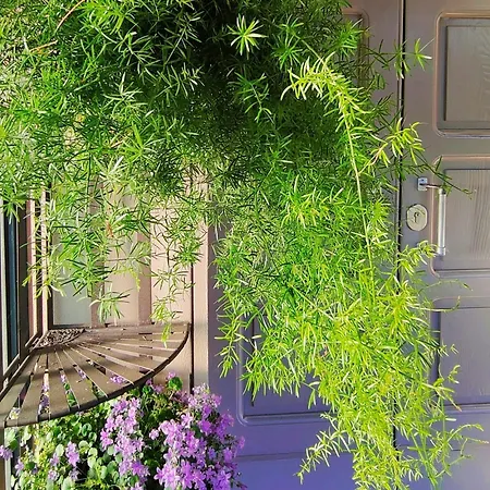 Oda ve Kahvaltı Ca Veja 3*