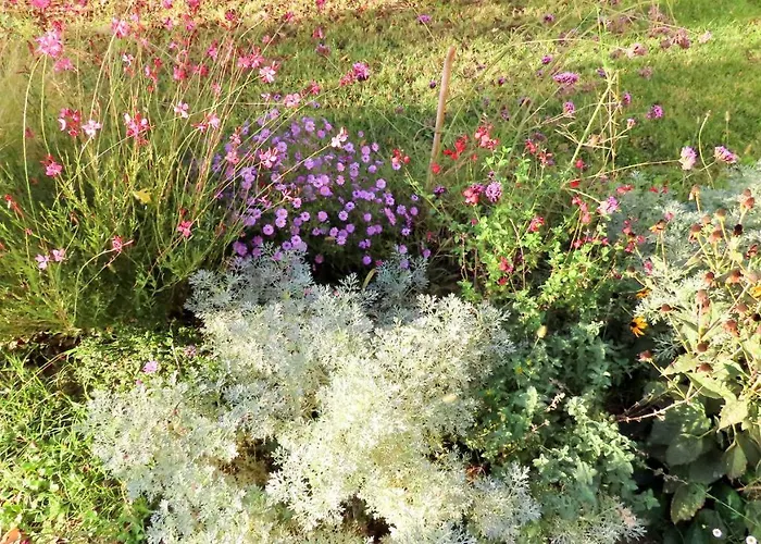 Oda ve Kahvaltı Ca Veja Forlì