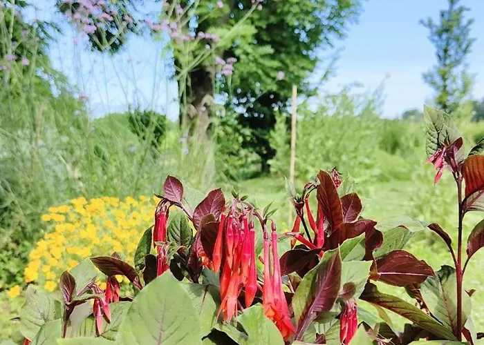 Ca Veja Oda ve Kahvaltı 3*