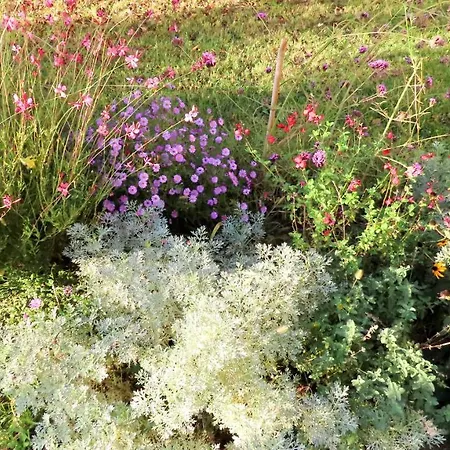 Alojamento de Acomodação e Pequeno-almoço Ca Veja Forlì