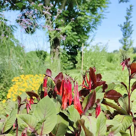Ca Veja Alojamento de Acomodação e Pequeno-almoço 3*