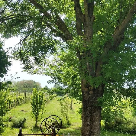 Ca Veja Alojamento de Acomodação e Pequeno-almoço