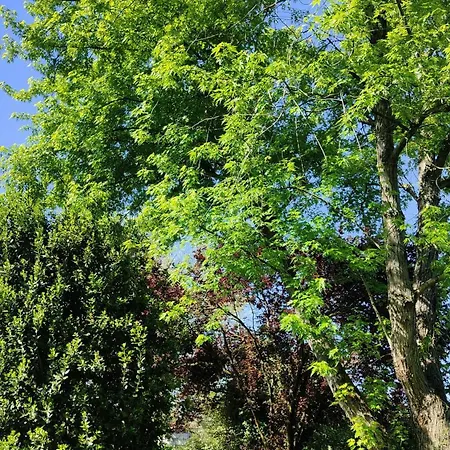 Ca Veja Alojamento de Acomodação e Pequeno-almoço 3*