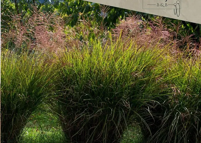 Bed and breakfast Ca Veja Forlì