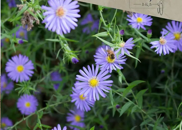 Frühstückspension Ca Veja Forlì