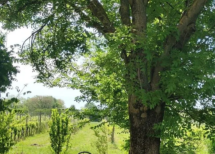 Ca Veja Bed and breakfast