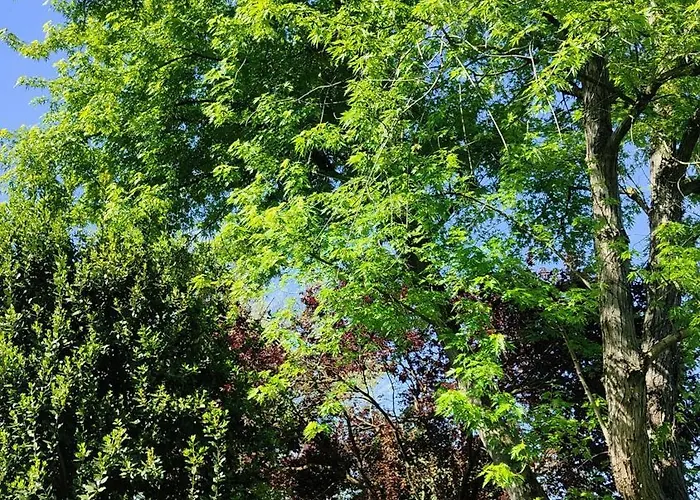 Ca Veja Bed and breakfast 3*