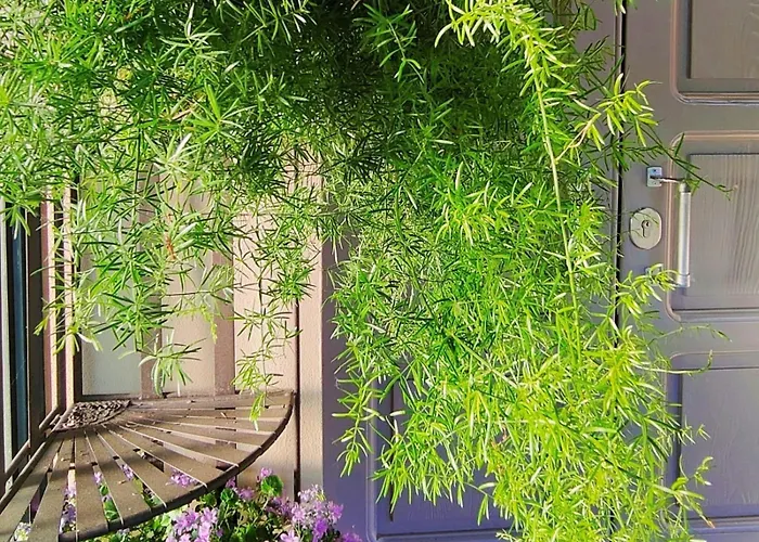 Bed and breakfast Ca Veja 3*